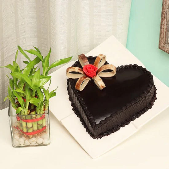 Plant N Heart Shaped Cake