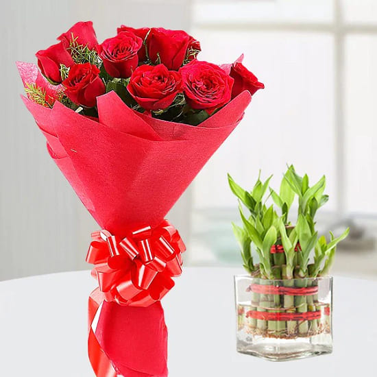 Red Roses n Lucky Bamboo Red Roses n Lucky Bamboo