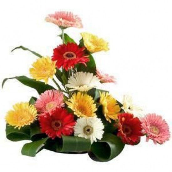 15 Mix Gerbera Basket