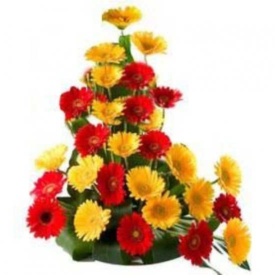 30 Gerberas Arrangement 30 Gerberas Arrangement