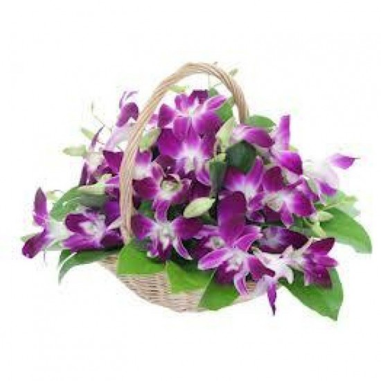 Orchids Basket
