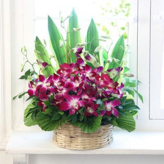 Cute Orchids Basket