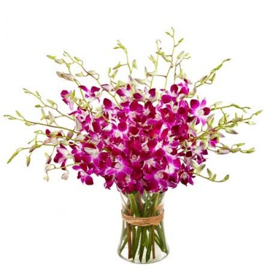 20 Orchids Vase Arrangement