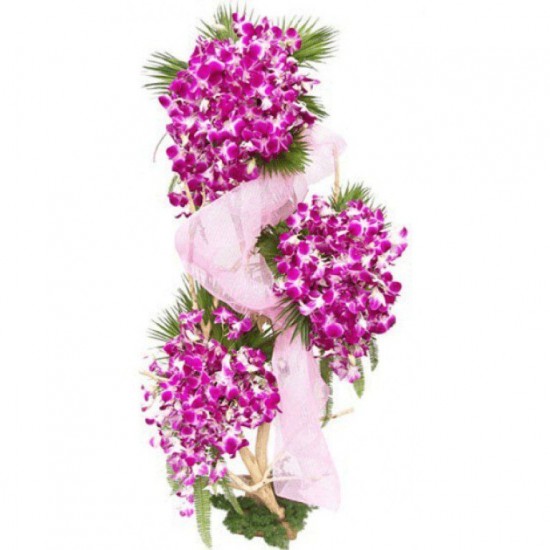 Beautiful Orchids Arrangement