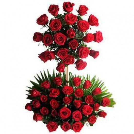 Two Tier Arrangement Two Tier Arrangement